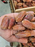 মরিয়ম খেজুর (মাশরুম)