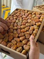 সুক্কারি খেজুর / Sukkari khejur, godhulibazar.com
