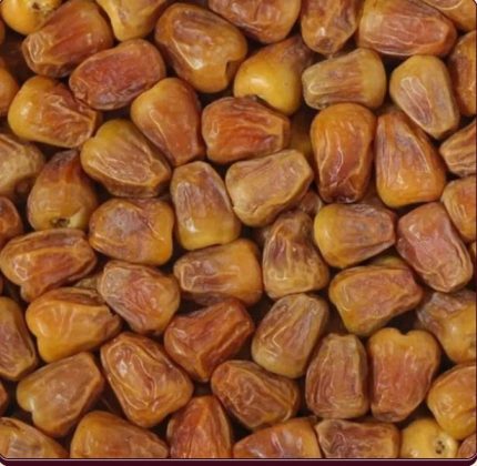 সুক্কারি খেজুর / Sukkari khejur, godhulibazar.com